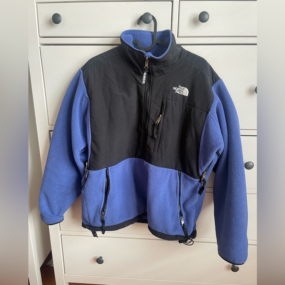 The north face fleece full zip